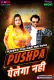 Pushpa Pelega Nahi (E01) MoodX Hot Web Series