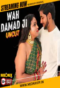 Wah Damad Ji NeonX Uncut Short Film
