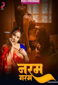 Naram Garam (E01-E04) Pull Hot Web Series